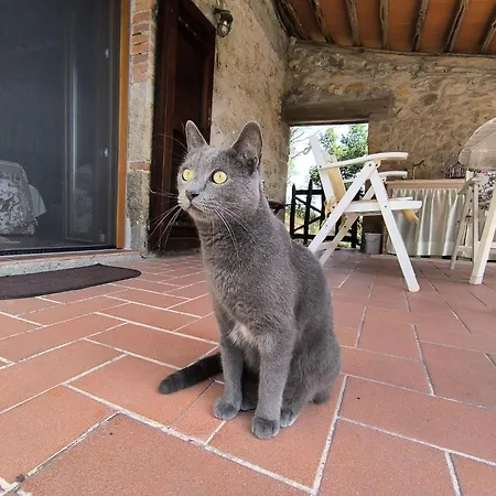 Il Grillo Parlante By Interhome